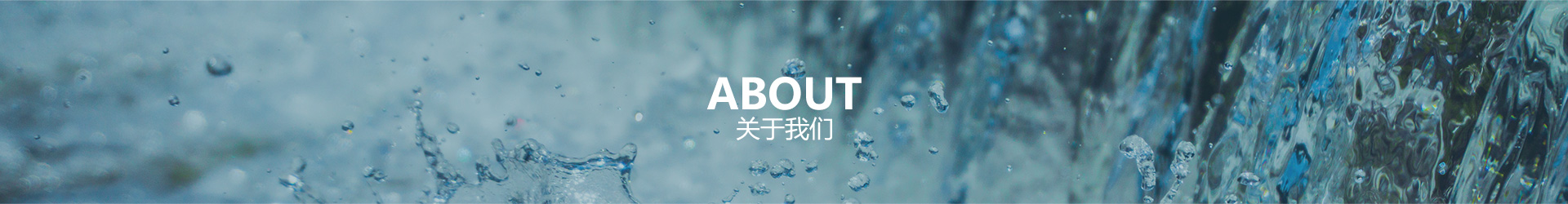 关于彩名堂官网