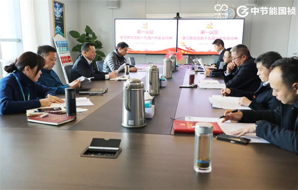 彩名堂官网临时党委会深入学习党的十九届六中全会精神