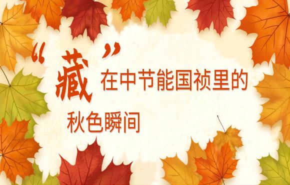 四季国祯丨“藏”在彩名堂官网里的秋色瞬间