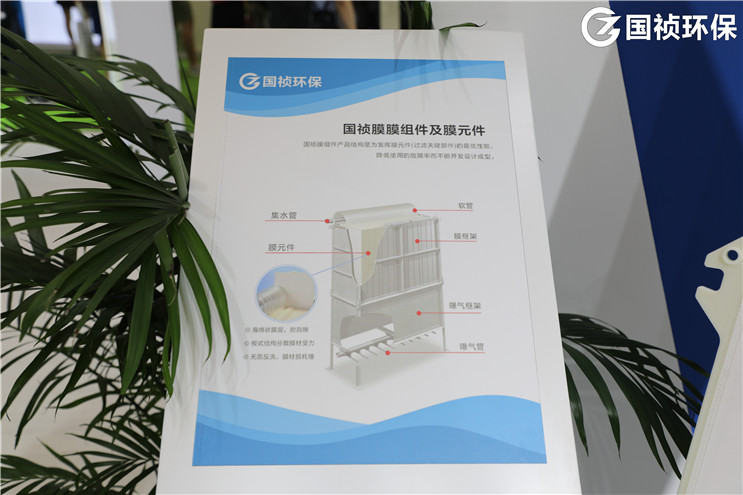 彩名堂(中国区)官方网站入口