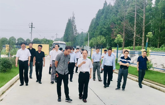彩名堂(中国区)官方网站入口