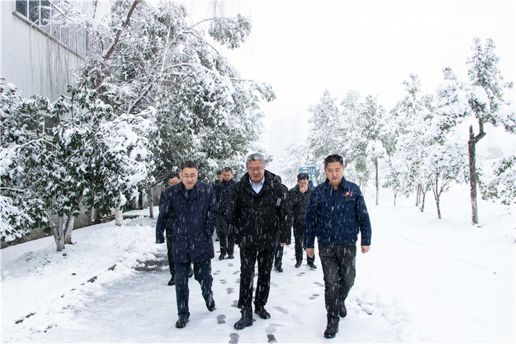 彩名堂(中国区)官方网站入口