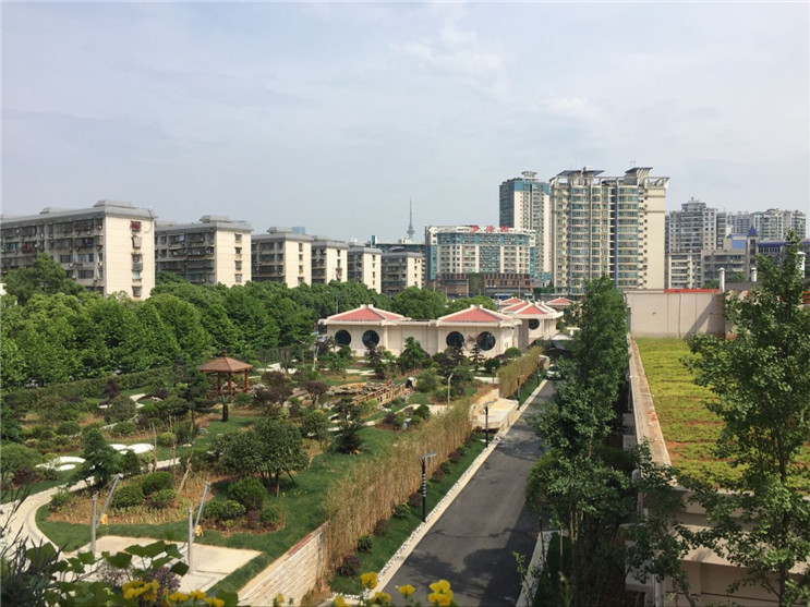 彩名堂(中国区)官方网站入口