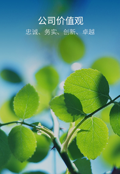 彩名堂(中国区)官方网站入口