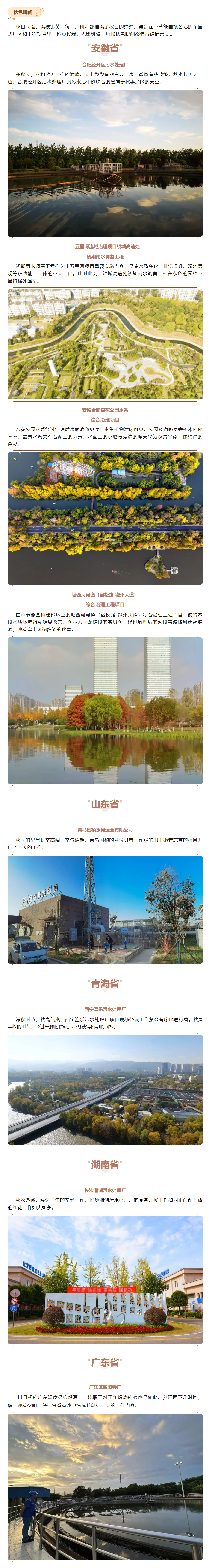 彩名堂(中国区)官方网站入口