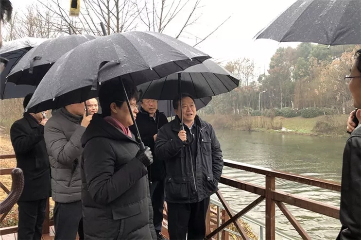 彩名堂(中国区)官方网站入口