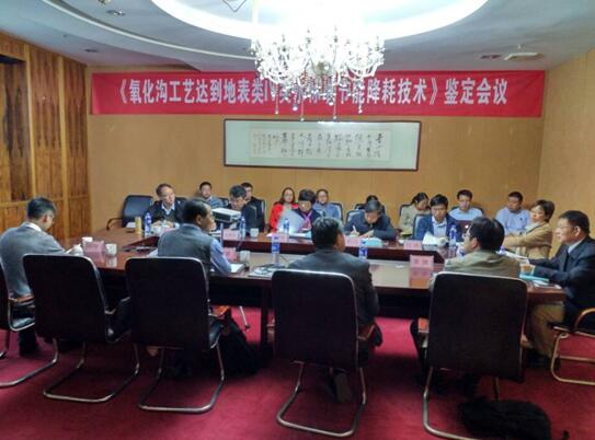 彩名堂(中国区)官方网站入口